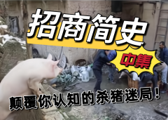 正规配资公司-招商简史颠覆你认知的杀猪迷局？