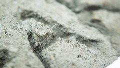 在线股票配资网:净利近腰斩 华新水泥业绩连续三年下滑 市值较高点缩水超40