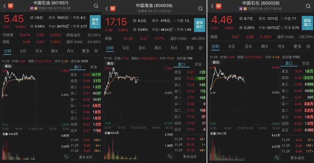 股票配资持仓