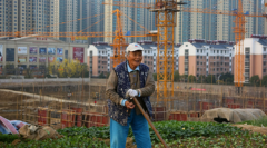 众和网配资-A股估值接近历史低位超跌成长股名单出炉