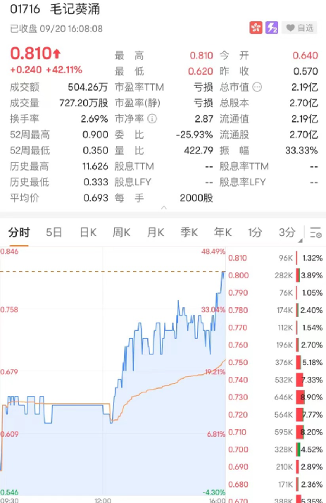 配资公司网站