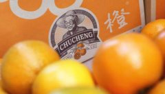 成都配资平台-大盘触底回升 短期能重拾升势吗？